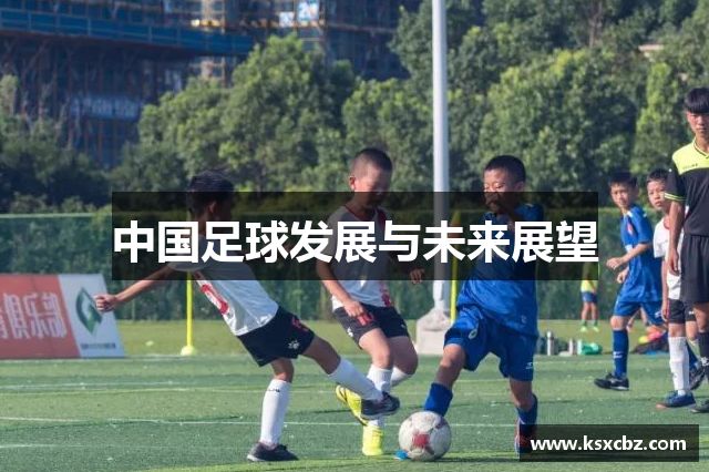 中国足球发展与未来展望