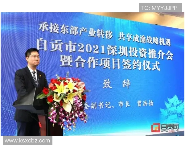 深圳攀岩队：探索个人能力提升与团队协作的完美结合