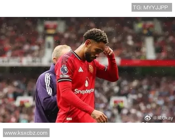 英超球队曼联签约巴西前锋阿德里安诺将加盟红魔为期5年